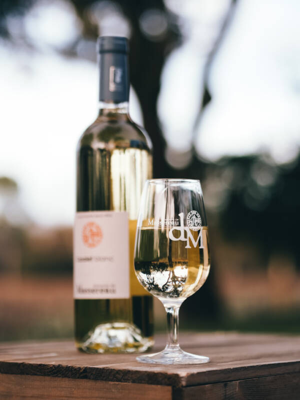 Cazalet Blanc – Image 2